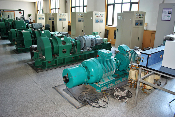 Y5603-8/1000KW某热电厂使用我厂的YKK高压电机提供动力
